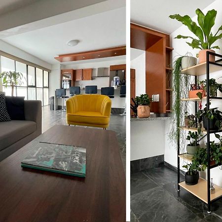 Great Apartment In The Heart Of Coyoacan Meksika Dış mekan fotoğraf