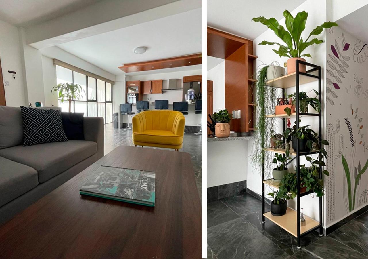 Great Apartment In The Heart Of Coyoacan Meksika Dış mekan fotoğraf