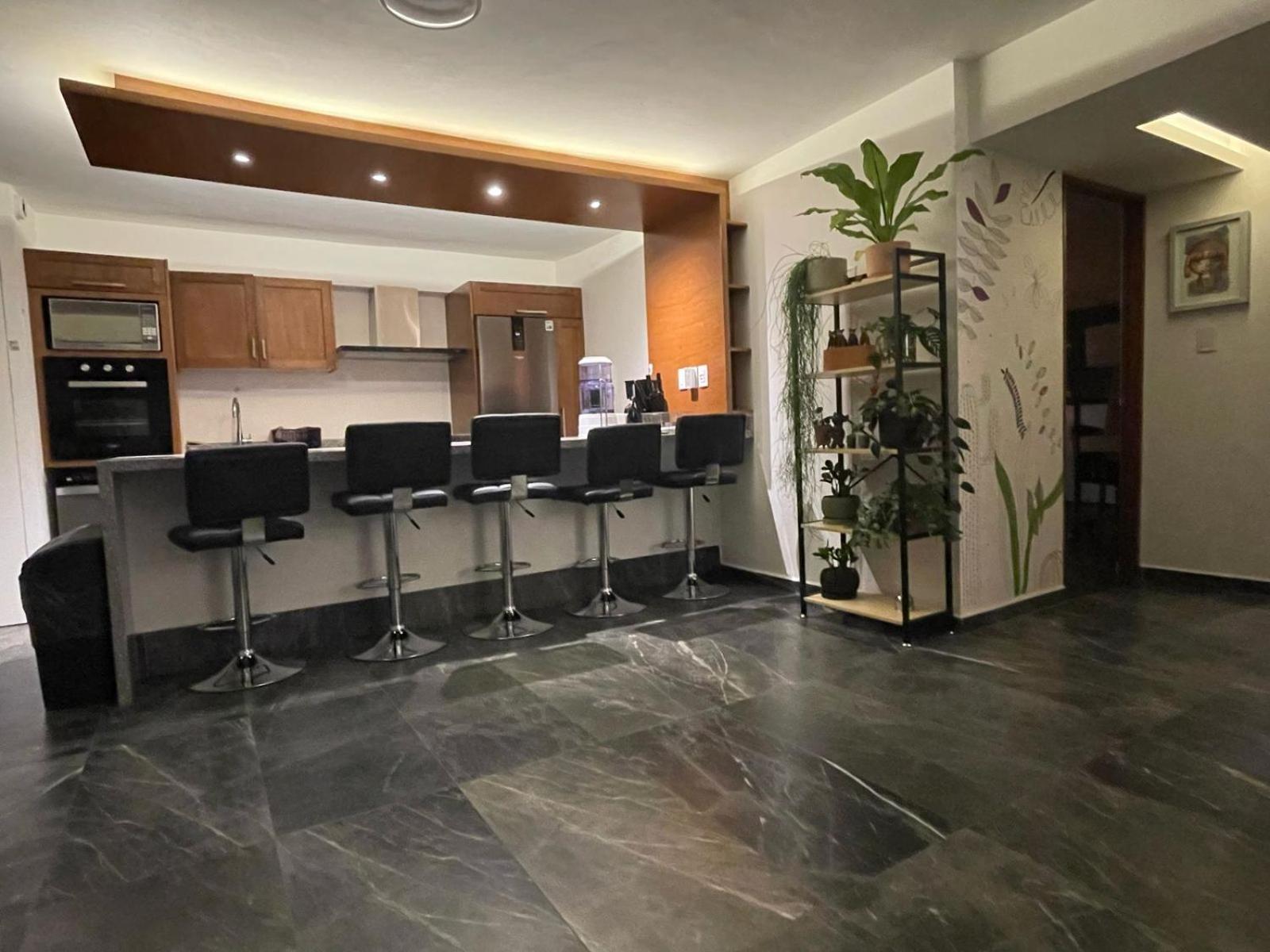 Great Apartment In The Heart Of Coyoacan Meksika Dış mekan fotoğraf