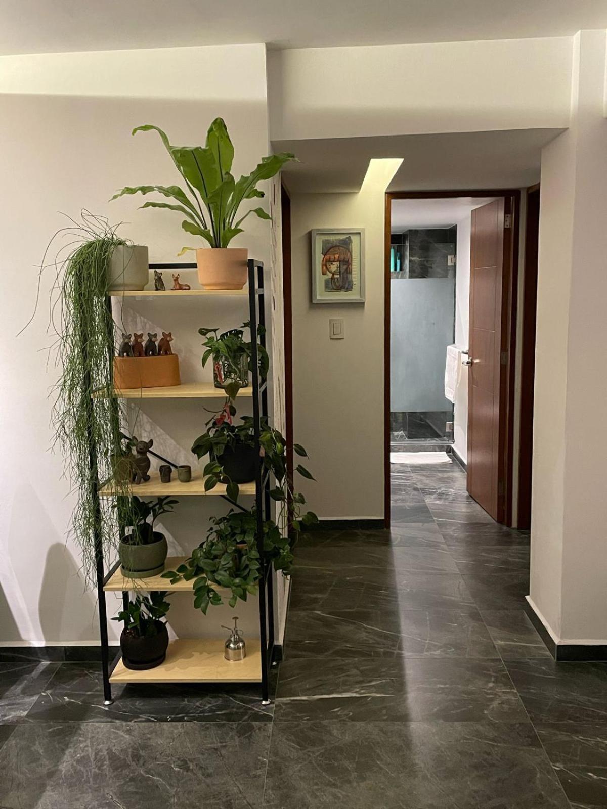Great Apartment In The Heart Of Coyoacan Meksika Dış mekan fotoğraf