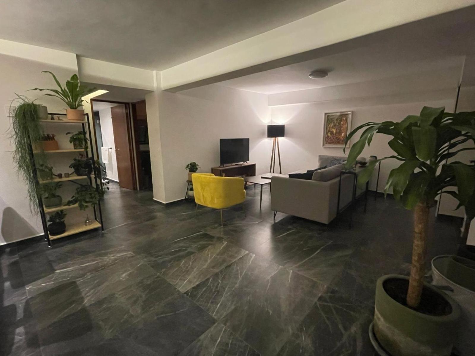 Great Apartment In The Heart Of Coyoacan Meksika Dış mekan fotoğraf