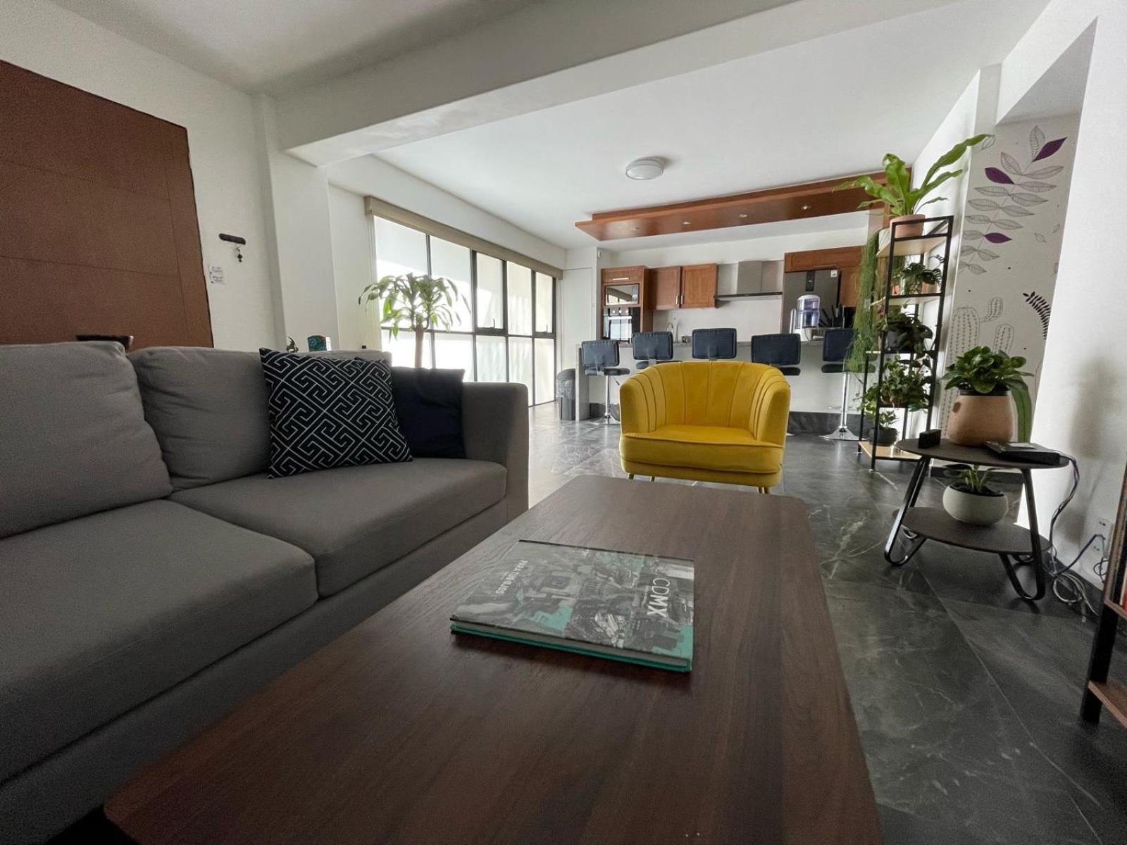 Great Apartment In The Heart Of Coyoacan Meksika Dış mekan fotoğraf